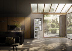 Product image, Perspective: milieu, Fridge-freezer with BioFresh and NoFrost, Casing colour: silver, Door colour: stainless steel