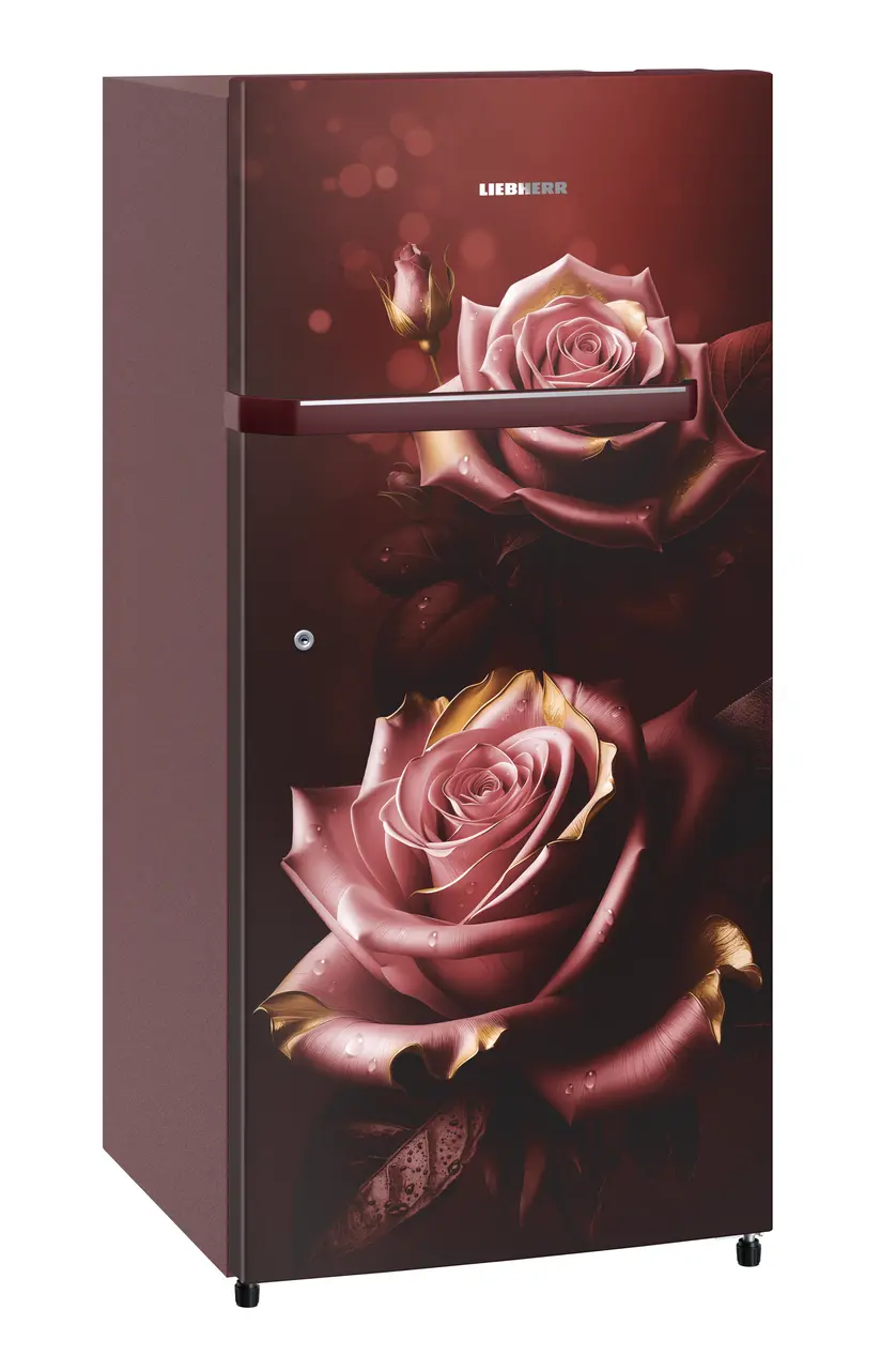 Product image, Perspective: oblique closed, Single-door fridge, 191 l in 2 star and horizontal handle, Casing colour: red, Door colour: Red Rosette