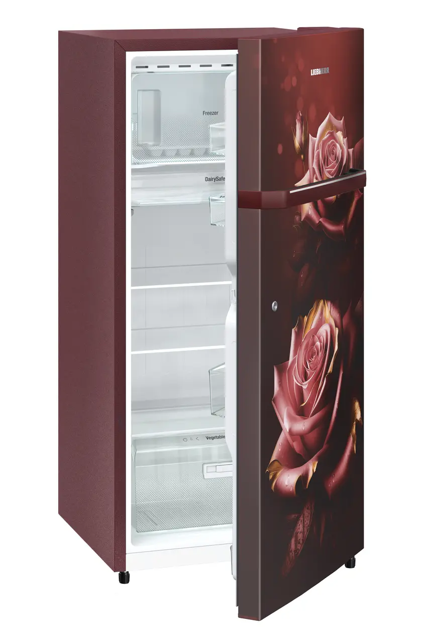 Product image, Perspective: oblique half-open empty, Single-door fridge, 191 l in 2 star and horizontal handle, Casing colour: red, Door colour: Red Rosette