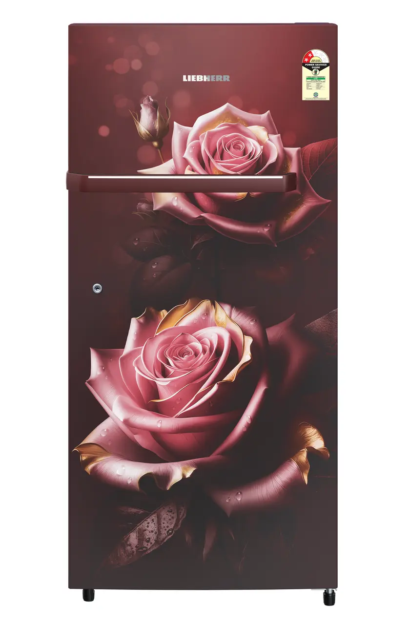 Product image, Perspective: straight closed, Single-door fridge, 191 l in 2 star and horizontal handle, Casing colour: red, Door colour: Red Rosette