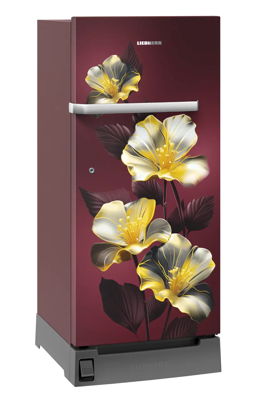 Product image, Perspective: oblique closed, Single-door refrigerator 191 l in 5 star with inverter compressor, Casing colour: red, Door colour: Red Hibiskus