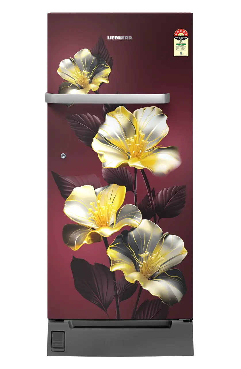 Product image, Perspective: straight closed, Single-door refrigerator 191 l in 5 star with inverter compressor, Casing colour: red, Door colour: Red Hibiskus