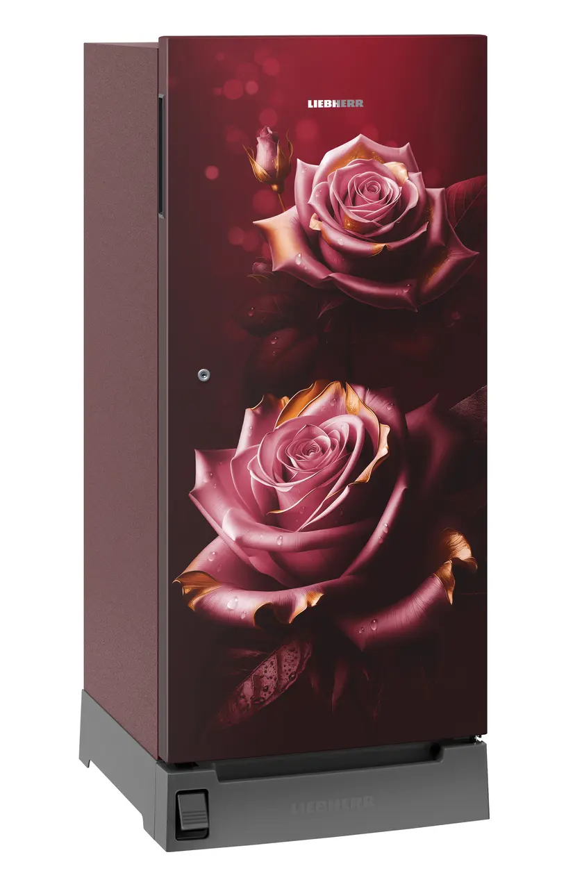 Product image, Perspective: oblique closed, Single-door refrigerator 191 l in 3 star with foot pedal base drawer, Casing colour: red, Door colour: Red Rosette