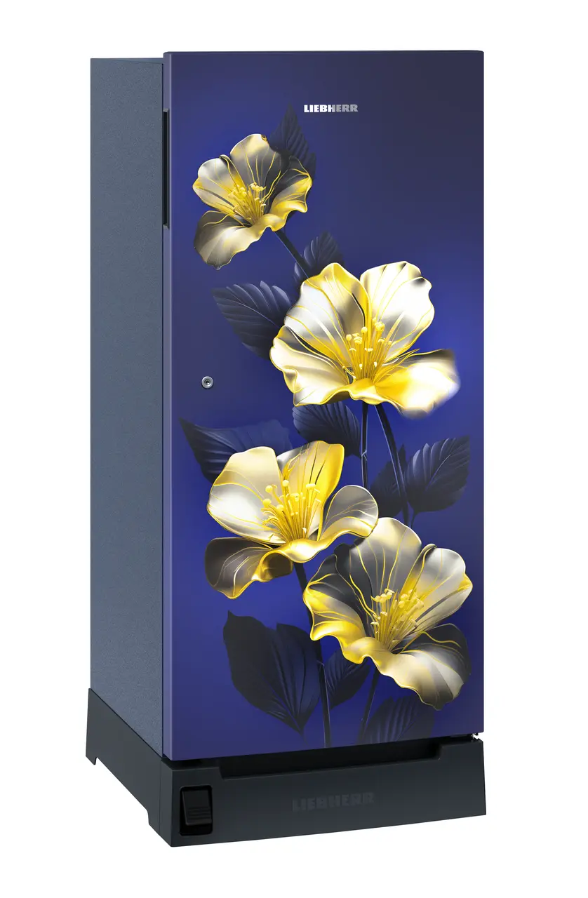 Product image, Perspective: oblique closed, Single-door refrigerator 191 l in 3 star with foot pedal base drawer, Casing colour: blue, Door colour: Blue Hibiskus