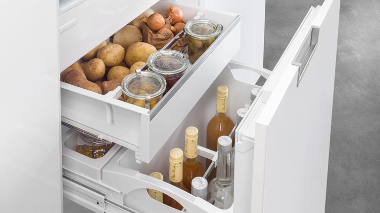 Odjeljak umjerene temperature