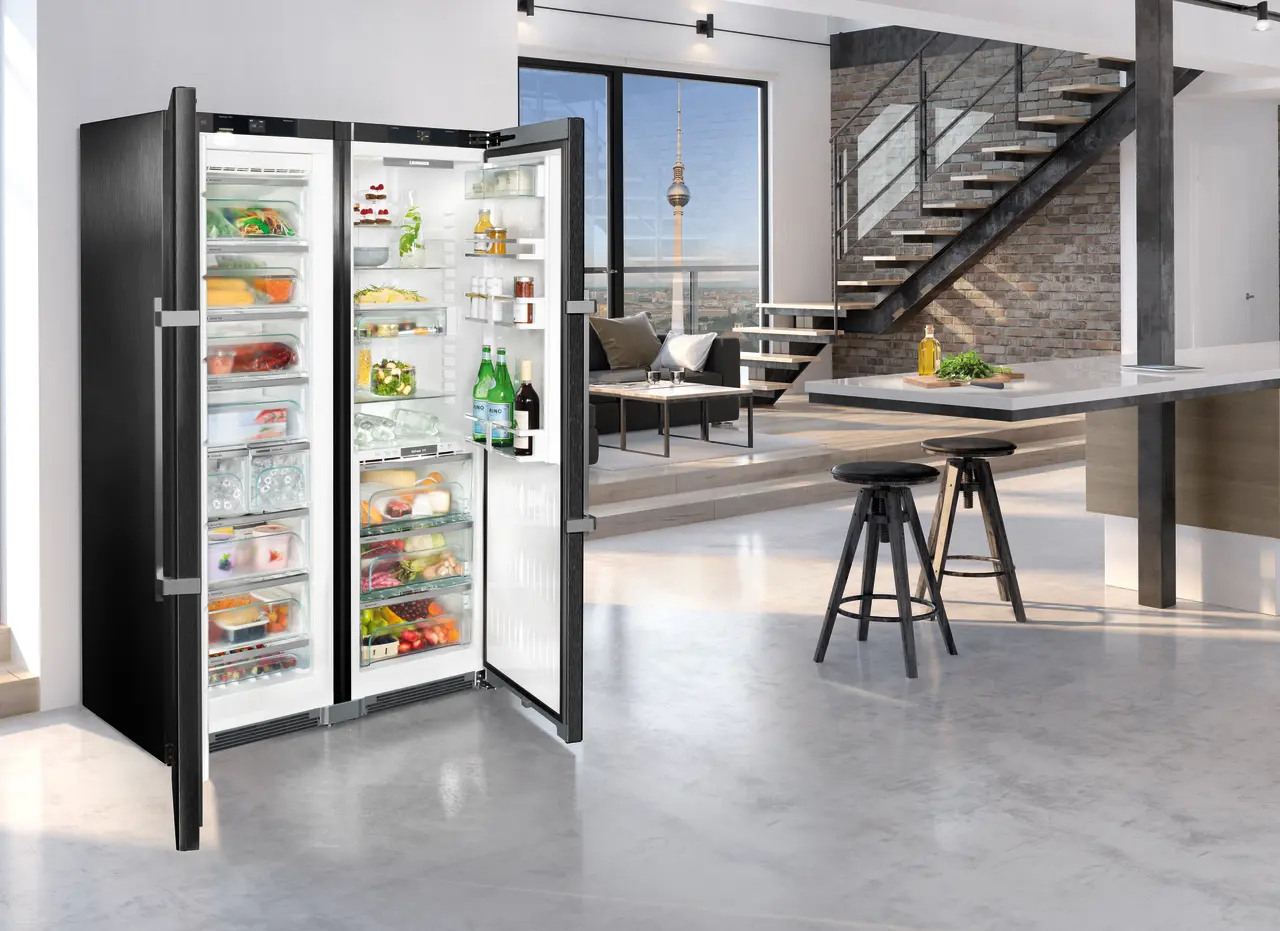 Product image, Perspective: milieu, Side-by-Side combination, Casing colour: BlackSteel, Door colour: BlackSteel