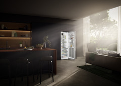 Product image, Perspective: milieu, Freestanding refrigerator with BioFresh Professional, Casing colour: stainless steel, Door colour: stainless steel