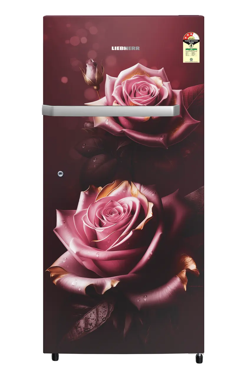 Product image, Perspective: straight closed, Single-door refrigerator 191 l in 3 star and horizontal handle, Casing colour: red, Door colour: Red Rosette