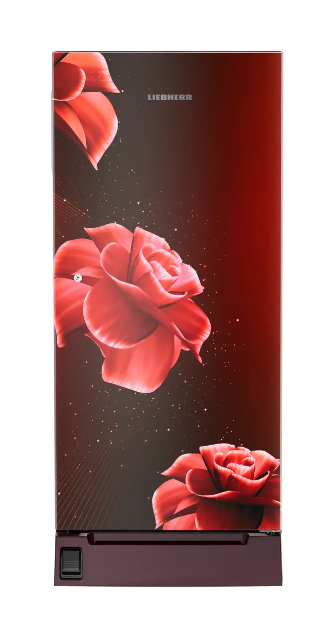 Product image, Perspective: straight closed, Single-door fridge, 191 l in 2 star with foot pedal base drawer, Casing colour: red, Door colour: Red Divine