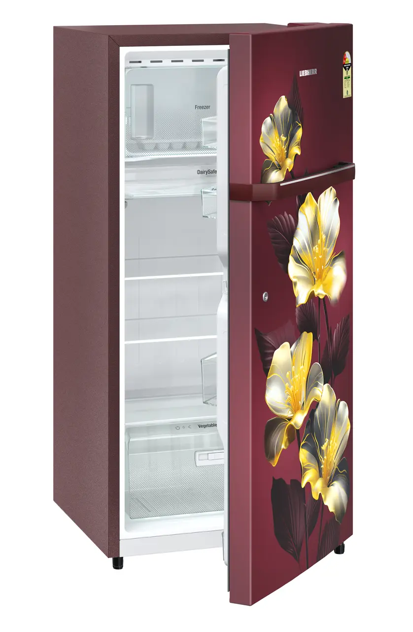 Product image, Perspective: oblique half-open empty, Single-door refrigerator 191 l in 2 Star and with horizontal handle, Casing colour: red, Door colour: Red Hibiskus