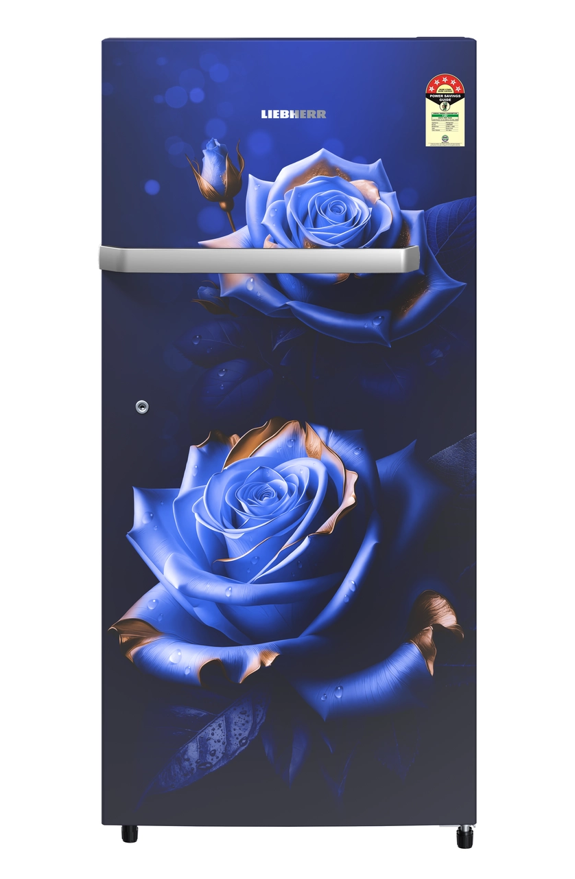 Product image, Perspective: straight closed, Single-door refrigerator 191 l in 5 star with inverter compressor, Casing colour: blue, Door colour: Blue Rosette