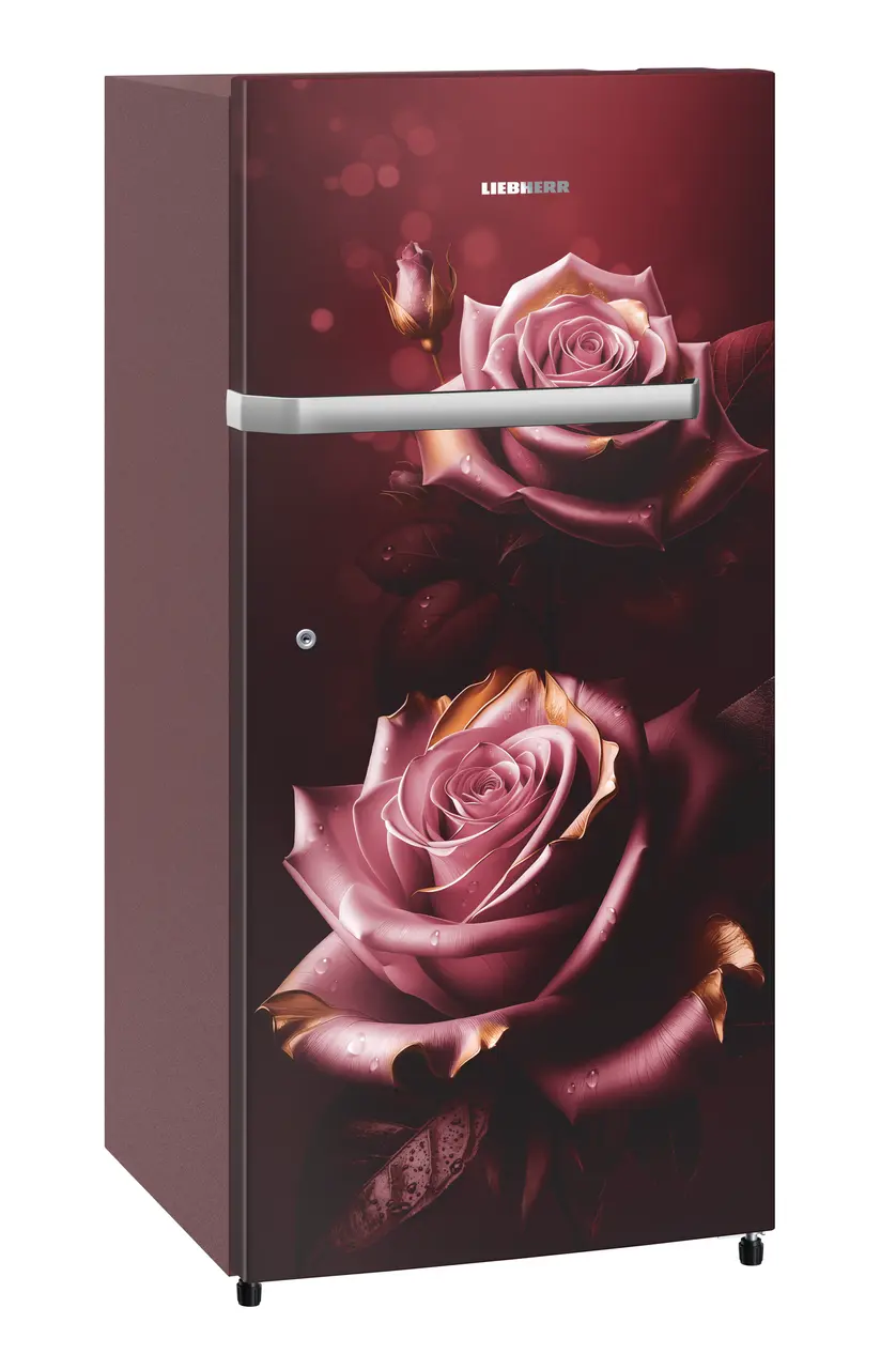 Product image, Perspective: oblique closed, Single-door refrigerator 222 l in 3 star and horizontal handle, Casing colour: red, Door colour: Red Rosette