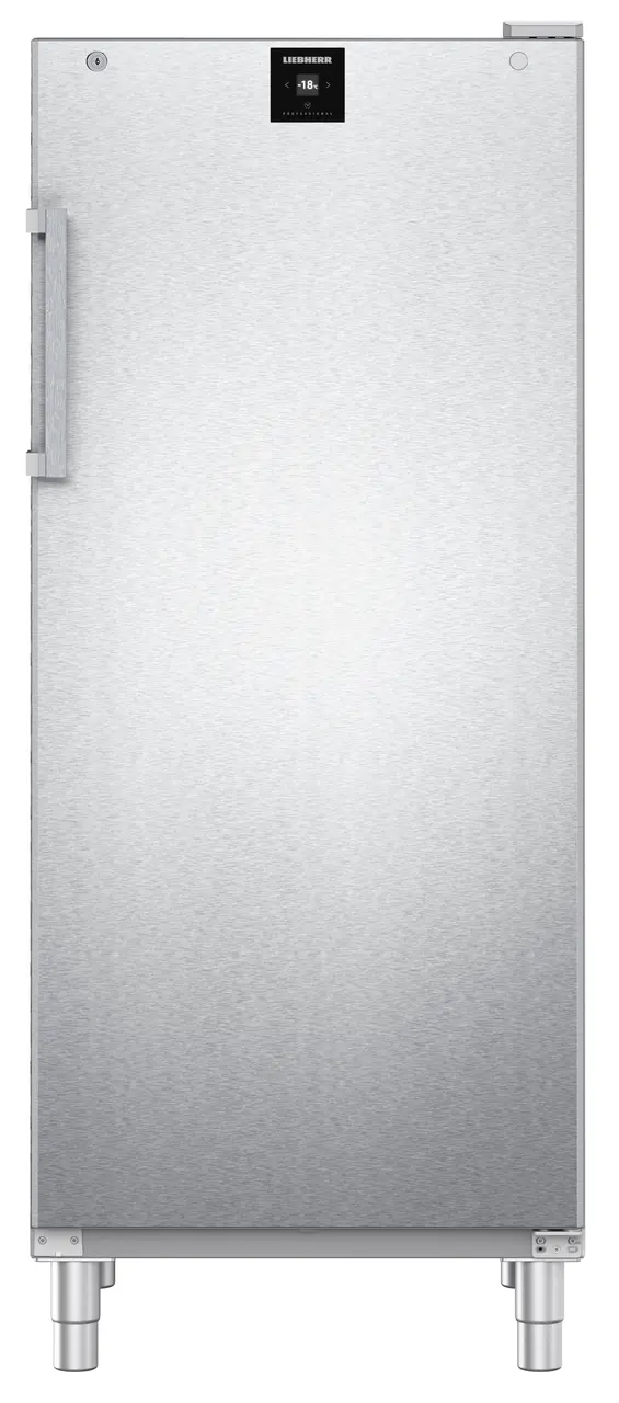 Product image, Perspective: straight closed empty, Freestanding freezer with SmartFrost, Casing colour: stainless steel, Door colour: stainless steel