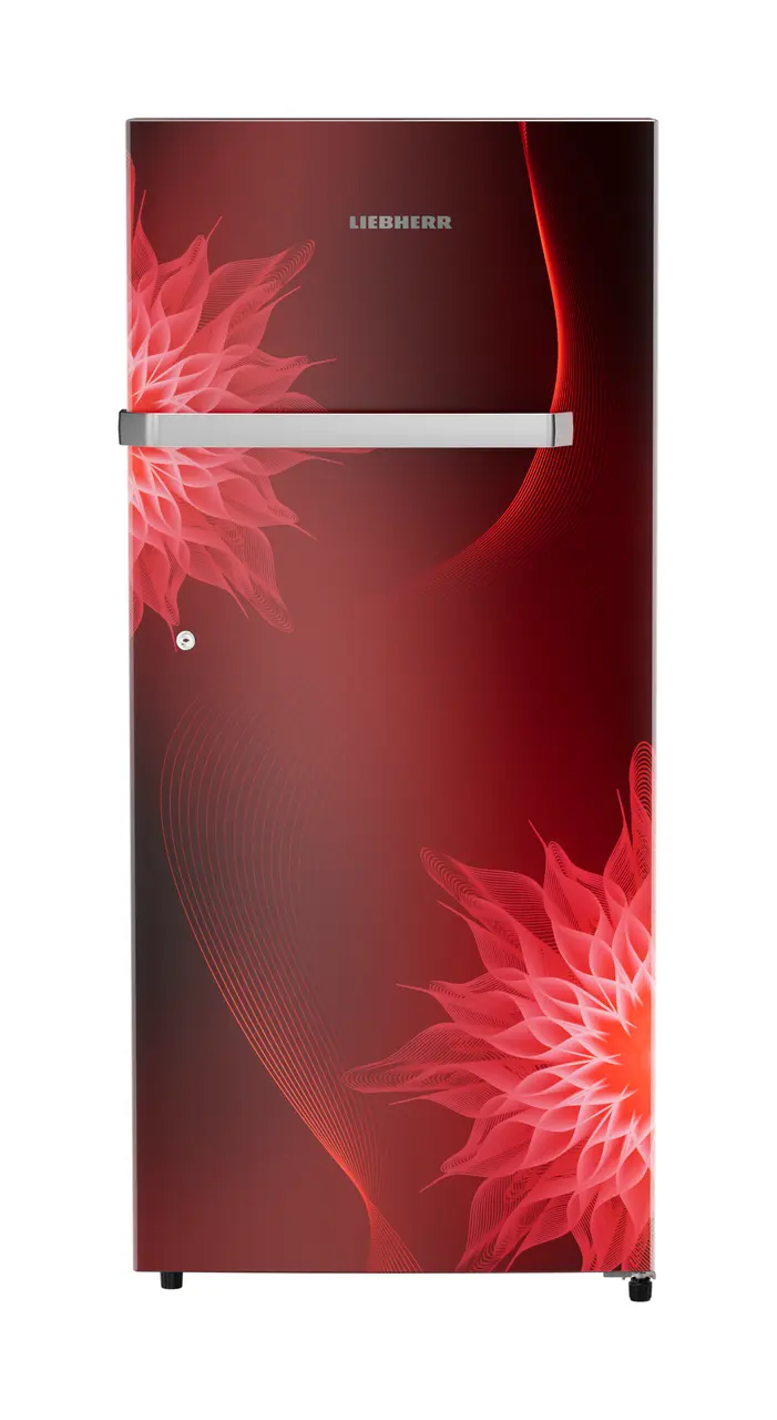Product image, Perspective: straight closed, Single-door refrigerator 202 l in 5 star with inverter compressor, Casing colour: red, Door colour: Red Mystiq