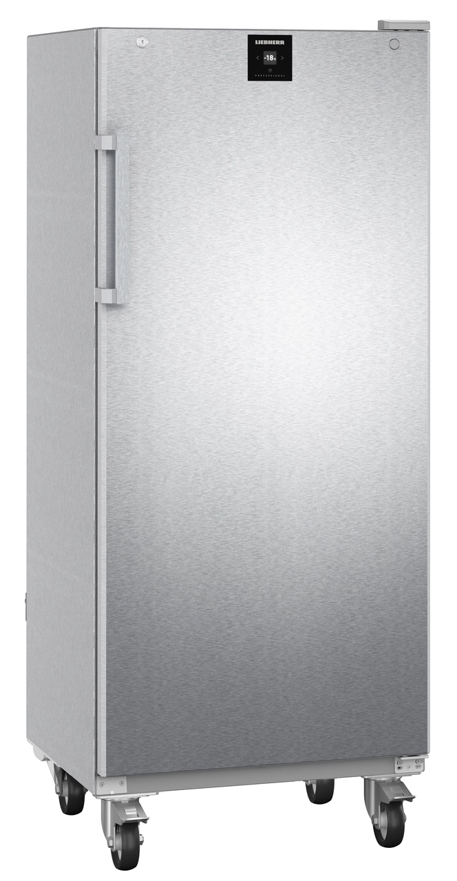Product image, Perspective: oblique closed empty, Freestanding freezer with NoFrost, Casing colour: stainless steel, Door colour: stainless steel