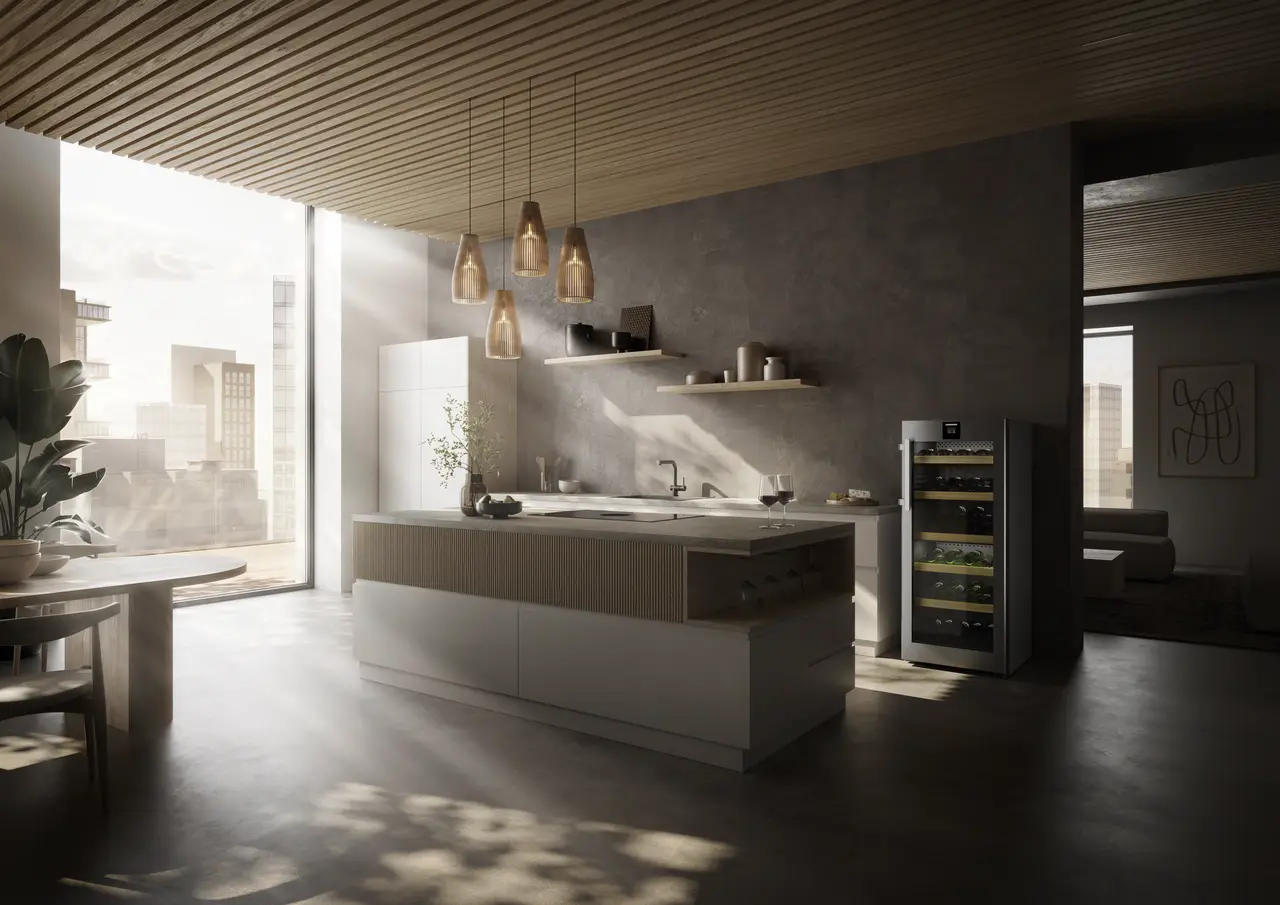 Изображение на продукта, Перспектива: Околна среда, Мултитемпературен охладител за вино, Цвят на корпуса: фино сребро, Цвят на вратата: благородна стомана