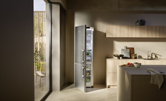 Product image, Perspective: milieu, Fridge-freezer with BioFresh and NoFrost, Casing colour: silver, Door colour: stainless steel