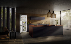 Product image, Perspective: milieu, Fridge-freezer with BioFresh and NoFrost, Casing colour: silver, Door colour: Steelfinish