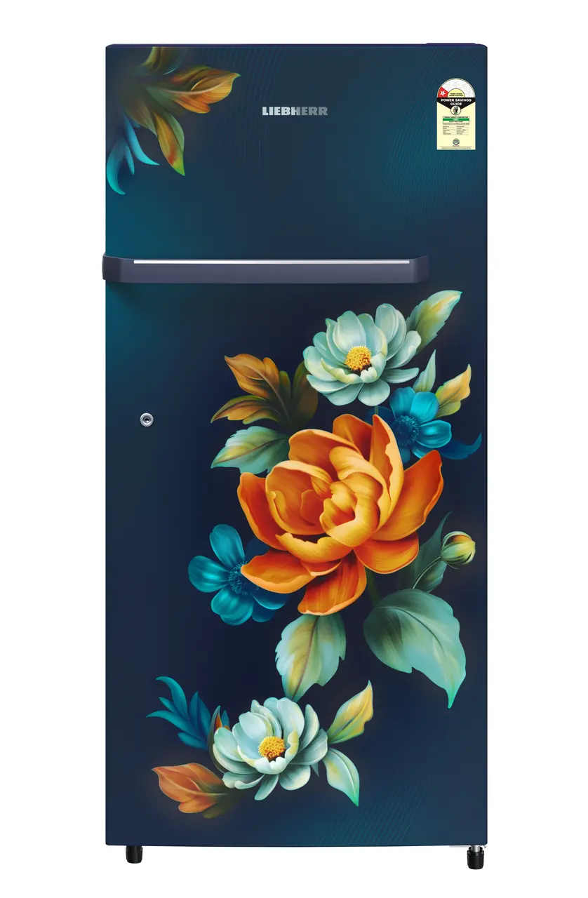 Product image, Perspective: straight closed, Single-door fridge 191 l in 1 star and horizontal handle, Casing colour: blue, Door colour: Blue Wonder