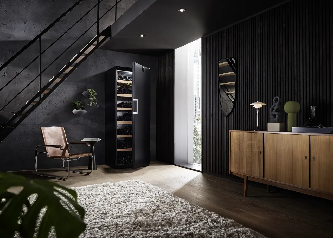 Product image, Perspective: milieu, Wine storage cabinet, Casing colour: black, Door colour: black