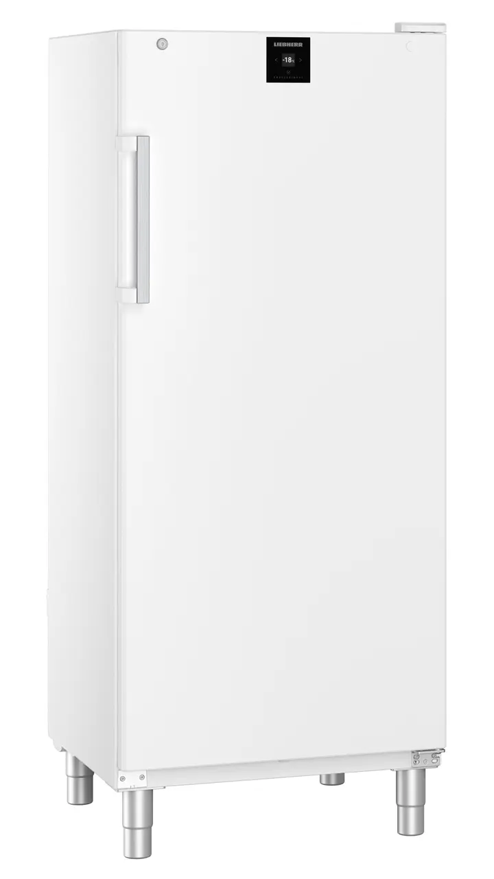 Product image, Perspective: oblique closed empty, Freestanding freezer with SmartFrost, Casing colour: white, Door colour: white