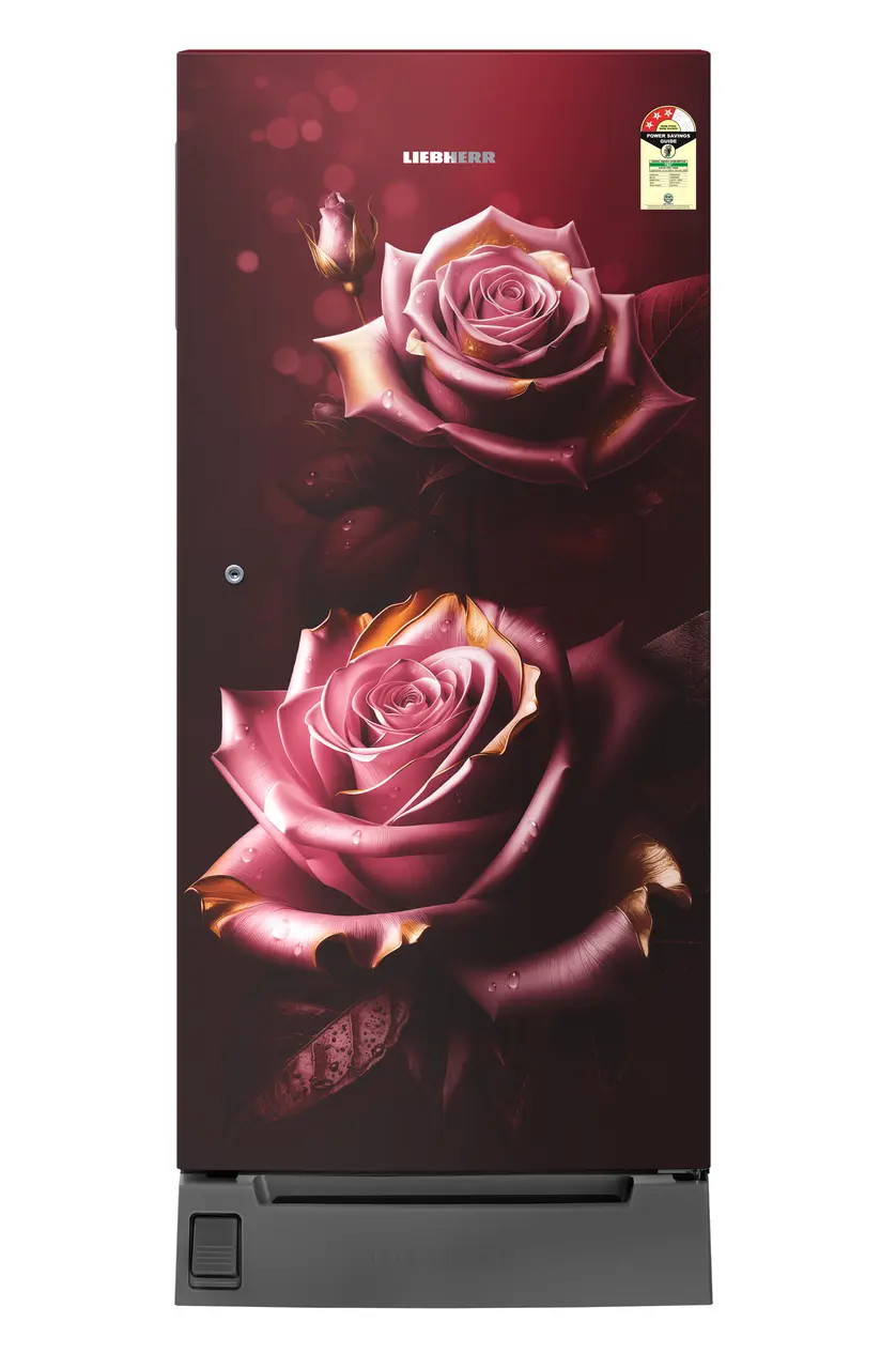 Product image, Perspective: straight closed, Single-door refrigerator 222 l in 3 star with foot pedal base drawer, Casing colour: red, Door colour: Red Rosette