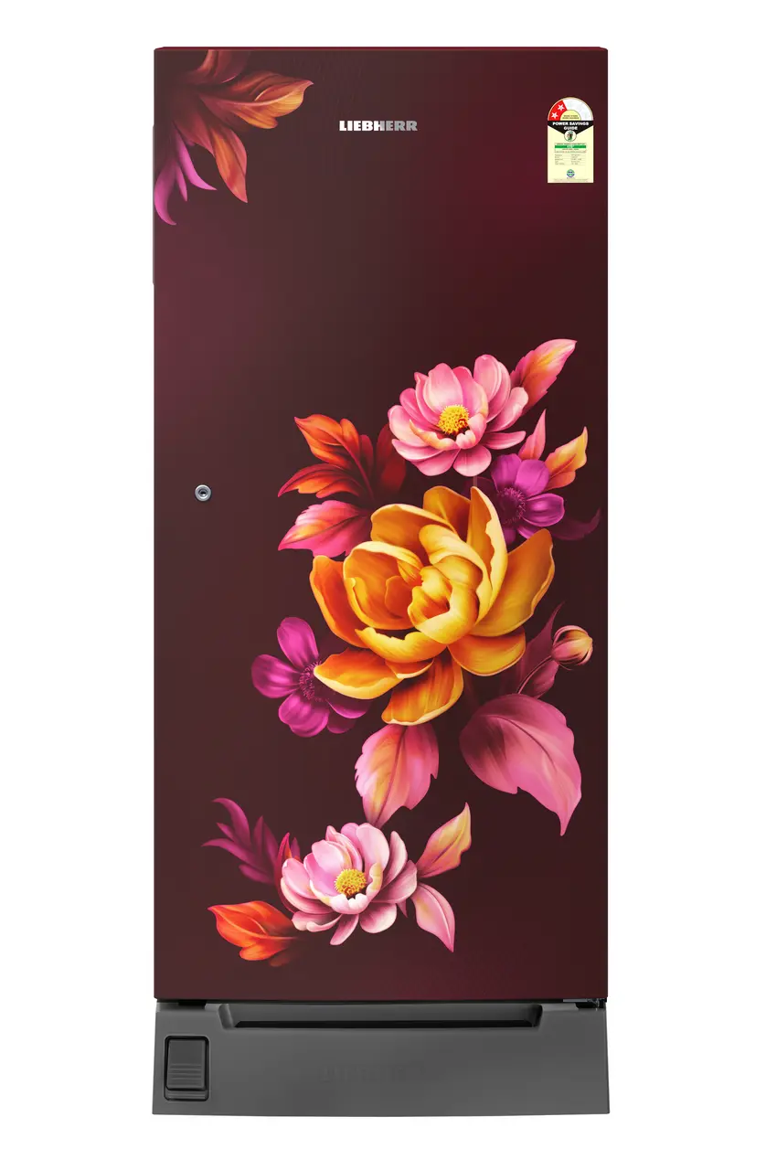 Product image, Perspective: straight closed, Single-door fridge, 191 l in 2 star with foot pedal base drawer, Casing colour: red, Door colour: Red Wonder