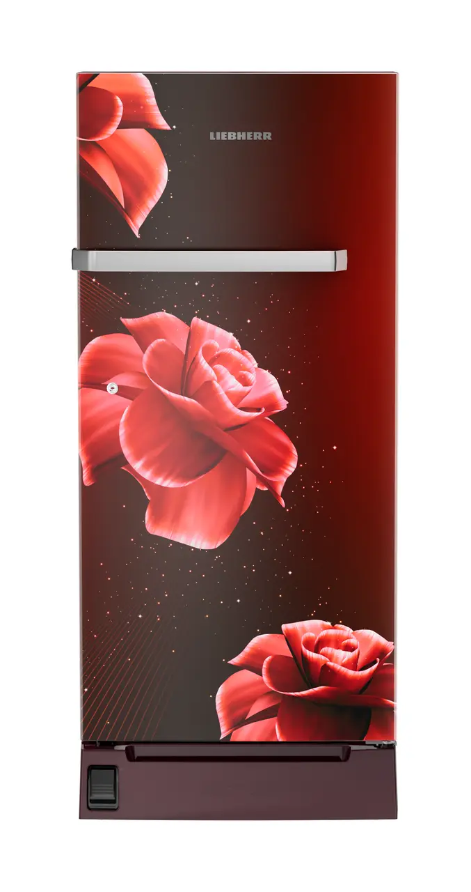 Product image, Perspective: straight closed, Single-door refrigerator 191 l in 5 star with inverter compressor, Casing colour: red, Door colour: Red Divine