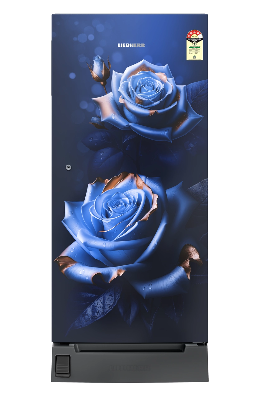 Product image, Perspective: straight closed, Single-door fridge 191 l in 4 star with foot pedal base drawer, Casing colour: blue, Door colour: Blue Rosette