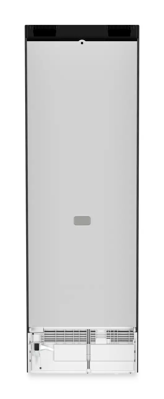 Product image, Perspective: back side, Freestanding refrigerator with BioFresh Professional, Casing colour: BlackSteel, Door colour: BlackSteel