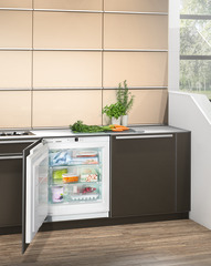 Изображение продукции, Перспектива: Внешние условия, Встраиваемый под столешницу морозильник