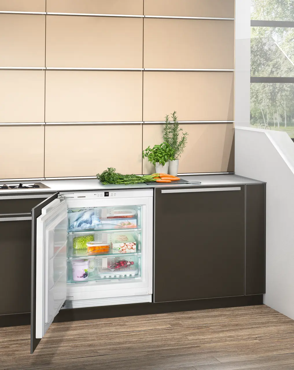 Изображение продукции, Перспектива: Внешние условия, Встраиваемый под столешницу морозильник