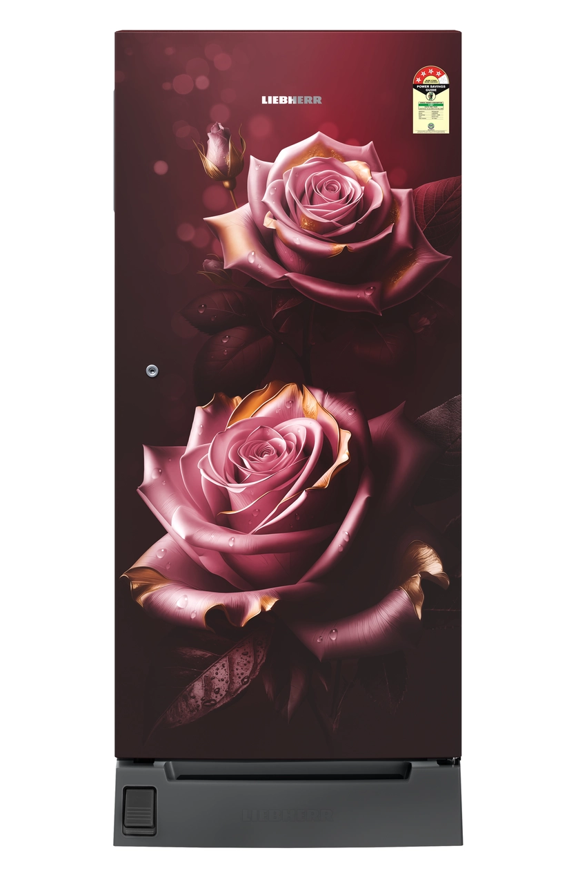 Product image, Perspective: straight closed, Single-door fridge 191 l in 4 star with foot pedal base drawer, Casing colour: red, Door colour: Red Rosette