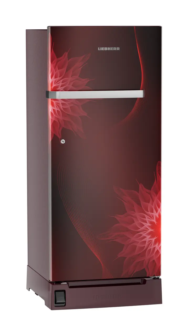 Product image, Perspective: oblique closed, Single-door refrigerator 202 l in 5 star with inverter compressor, Casing colour: red, Door colour: Red Mystiq