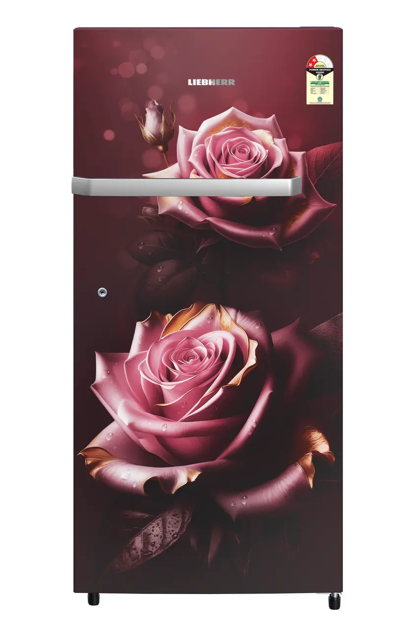 Product image, Perspective: straight closed, Single-door fridge 202 l in 2 star with inverter compressor, Casing colour: red, Door colour: Red Rosette