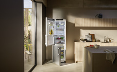 Product image, Perspective: milieu, Fridge-freezer with BioFresh and NoFrost, Casing colour: silver, Door colour: stainless steel