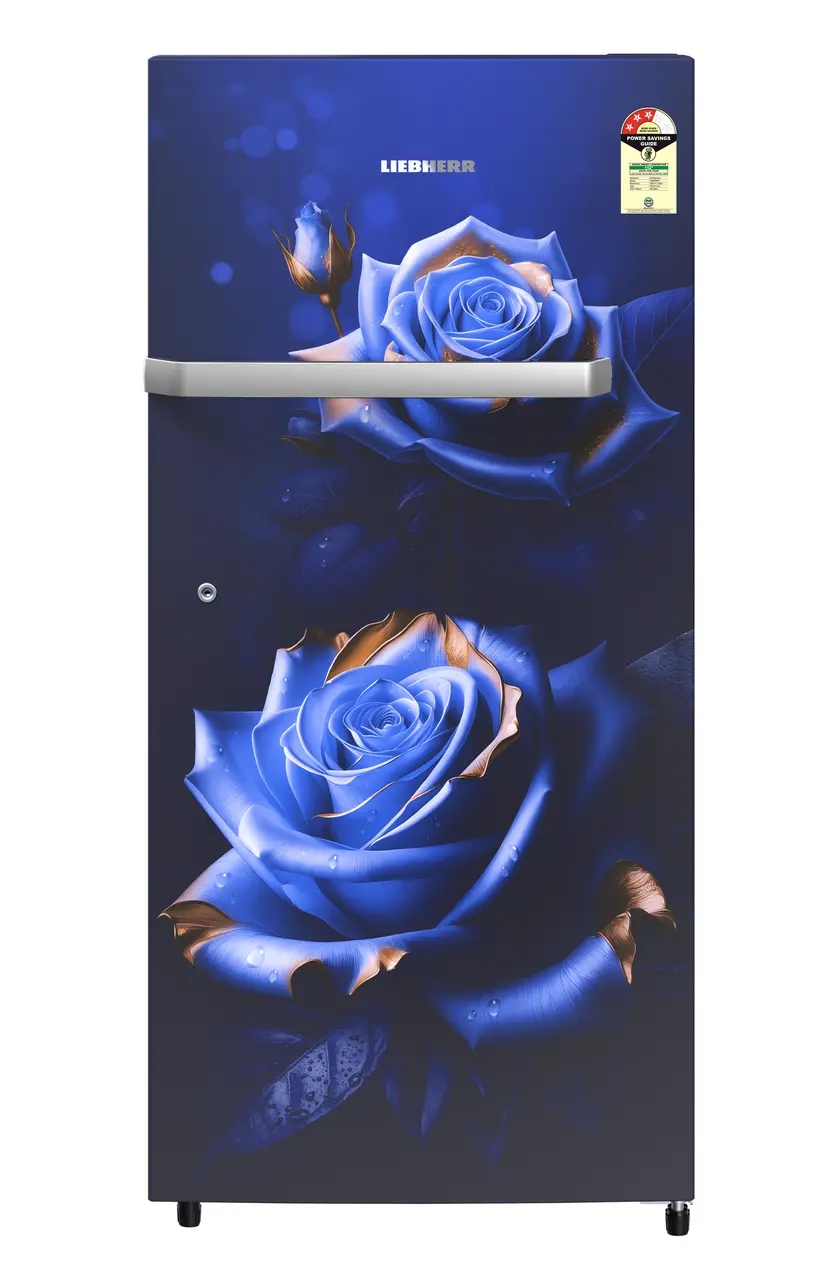 Product image, Perspective: straight closed, Single-door refrigerator 202 l in 3 star and horizontal handle, Casing colour: blue, Door colour: Blue Rosette