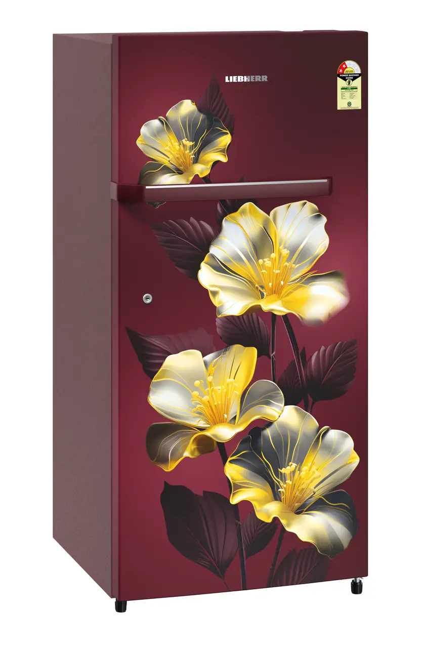 Product image, Perspective: oblique closed, Single-door refrigerator 191 l in 2 Star and with horizontal handle, Casing colour: red, Door colour: Red Hibiskus
