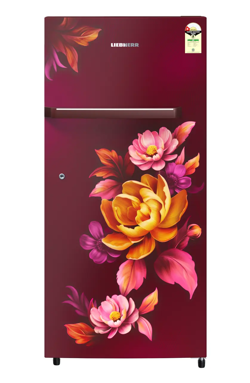 Product image, Perspective: straight closed, Single-door fridge 191 l in 1 star with inverter compressor, Casing colour: red, Door colour: Red Wonder