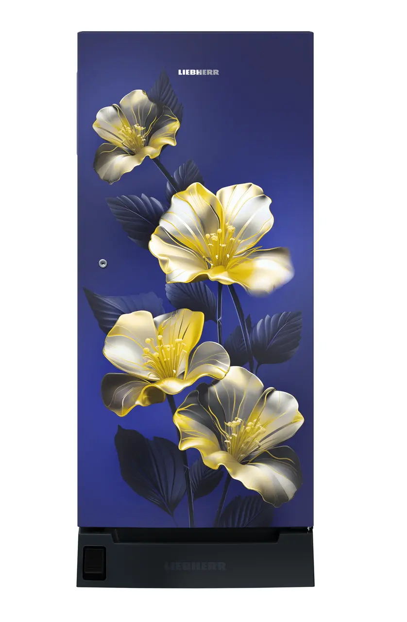 Product image, Perspective: straight closed, Single-door refrigerator 191 l in 3 star with foot pedal base drawer, Casing colour: blue, Door colour: Blue Hibiskus