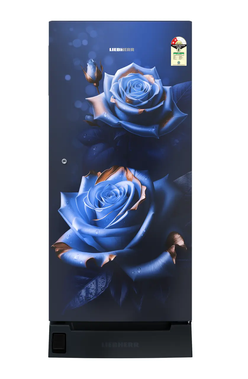 Product image, Perspective: straight closed, Single-door fridge , 202 l in 2 star with foot pedal base drawer, Casing colour: blue, Door colour: Blue Rosette