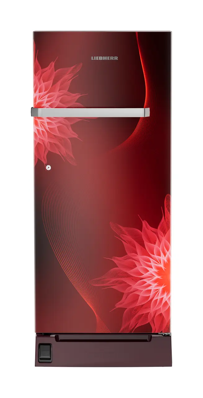 Product image, Perspective: straight closed, Single-door refrigerator 202 l in 5 star with inverter compressor, Casing colour: red, Door colour: Red Mystiq