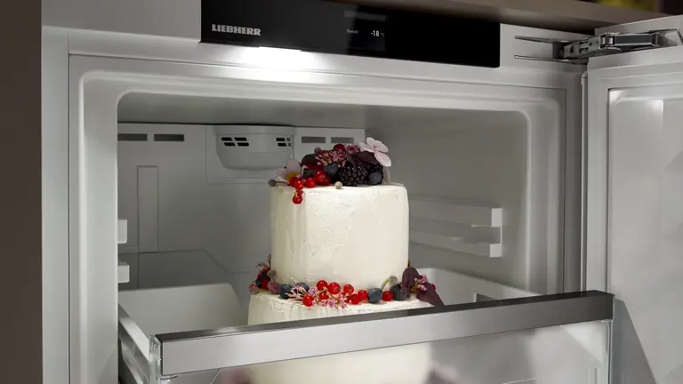 LED rasvjeta u odjeljku za zamrzavanje