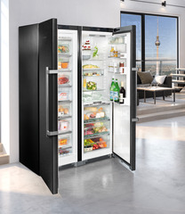 Product image, Perspective: milieu, Side-by-Side combination, Casing colour: BlackSteel, Door colour: BlackSteel