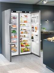 Product image, Perspective: milieu, Side-by-Side combination, Casing colour: silver, Door colour: stainless steel