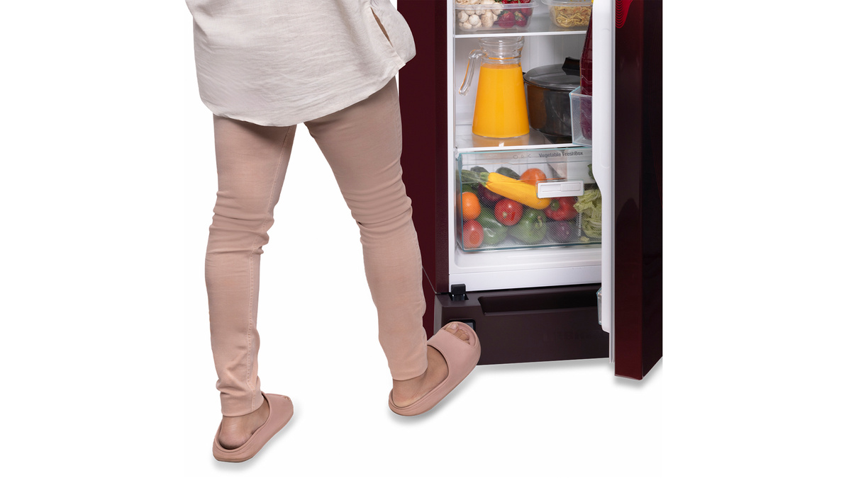 DFPrmC 2221 Plus Single-door refrigerator 222 l in 3 star with