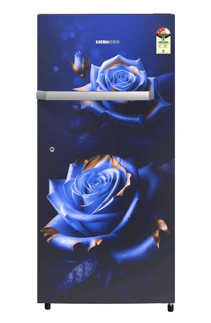 Product image, Perspective: straight closed, Single-door refrigerator 191 l in 3 star and horizontal handle, Casing colour: blue, Door colour: Blue Rosette