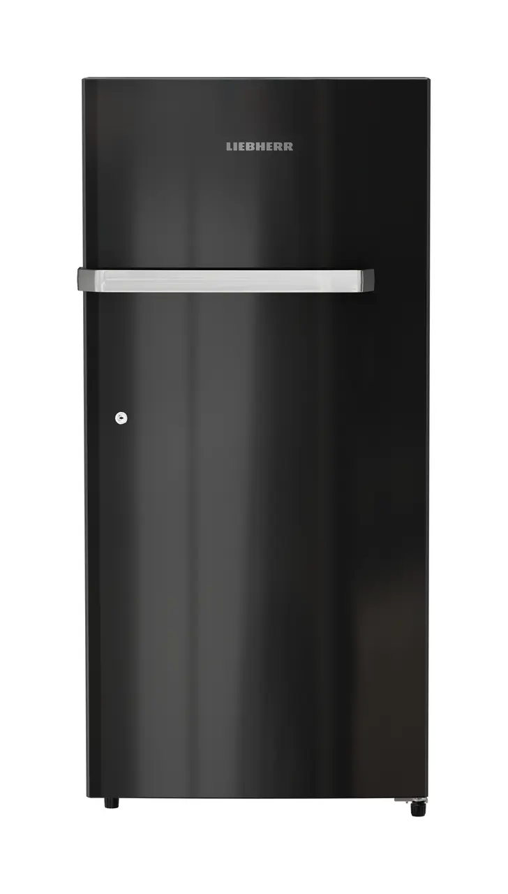 Product image, Perspective: straight closed, Single-door refrigerator 191 l in 3 star and horizontal handle, Casing colour: grey, Door colour: Black Gloss