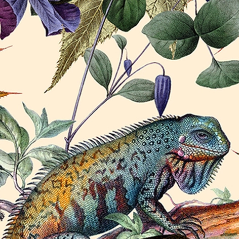 Zubehör-Bild, Perspektive: Sonderform