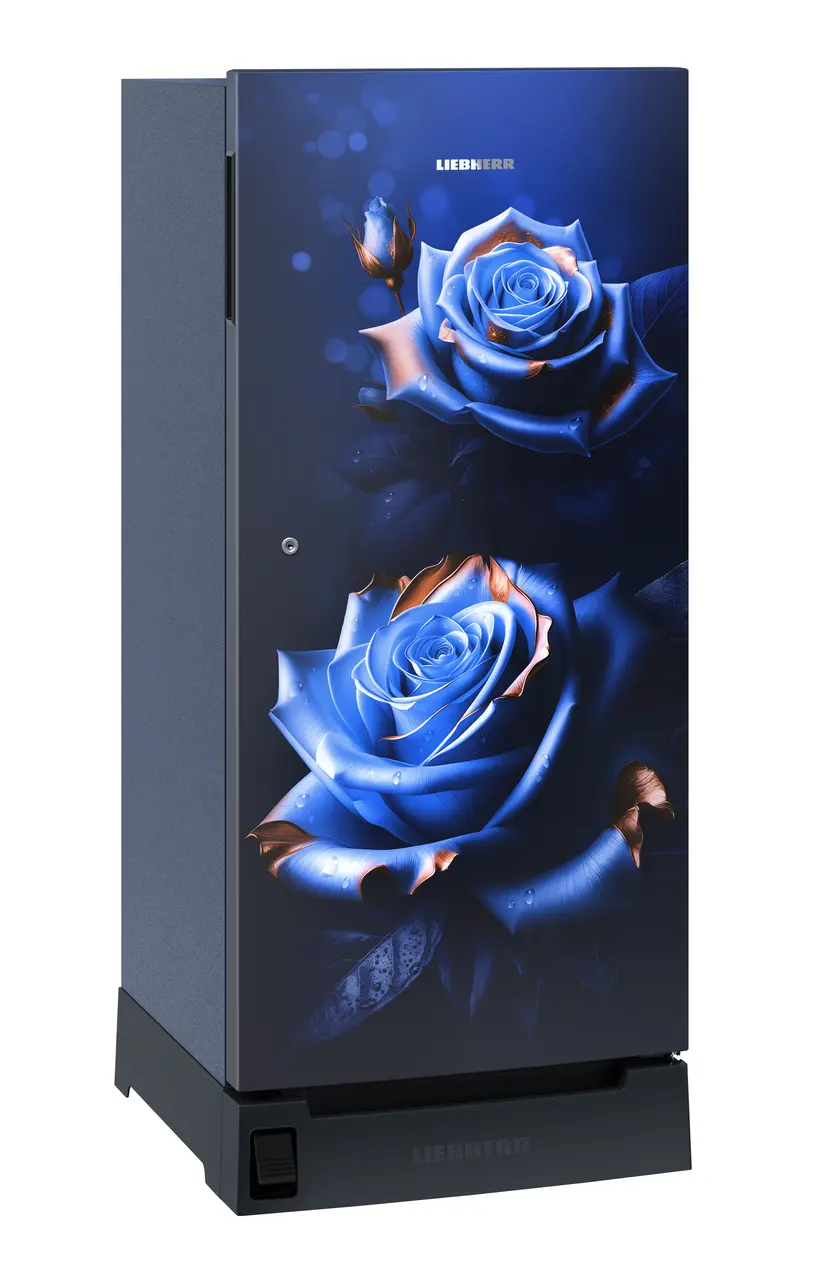 Product image, Perspective: oblique closed, Single-door refrigerator 191 l in 3 star with foot pedal base drawer, Casing colour: blue, Door colour: Blue Rosette